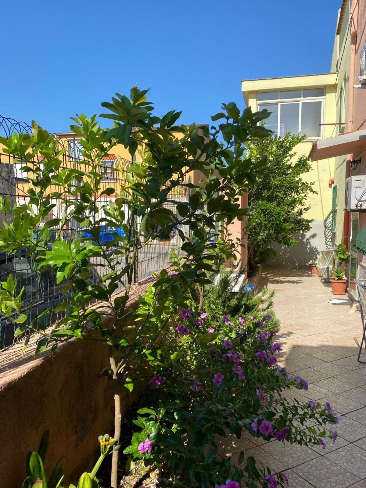 Lemon House Apartman Sassari Kültér fotó
